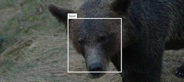 Object Detection with Azure Custom Vision