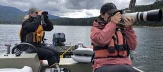 Back to the Field: Mating Bears and Damaged Cameras